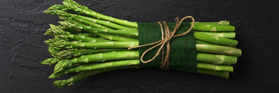 Can dogs eat asparagus?