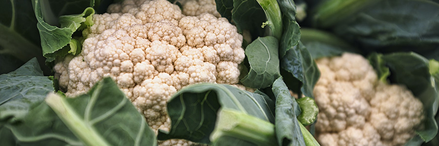 Can dogs eat cauliflower?