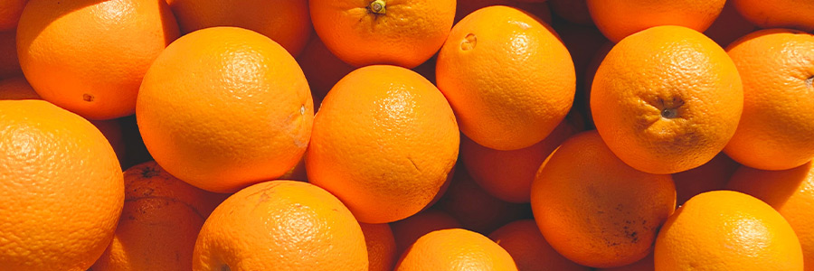 Can dogs eat orange?