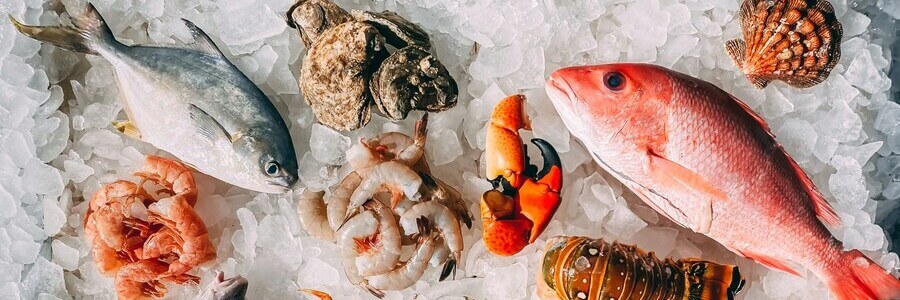 Happy dog enjoying seafood